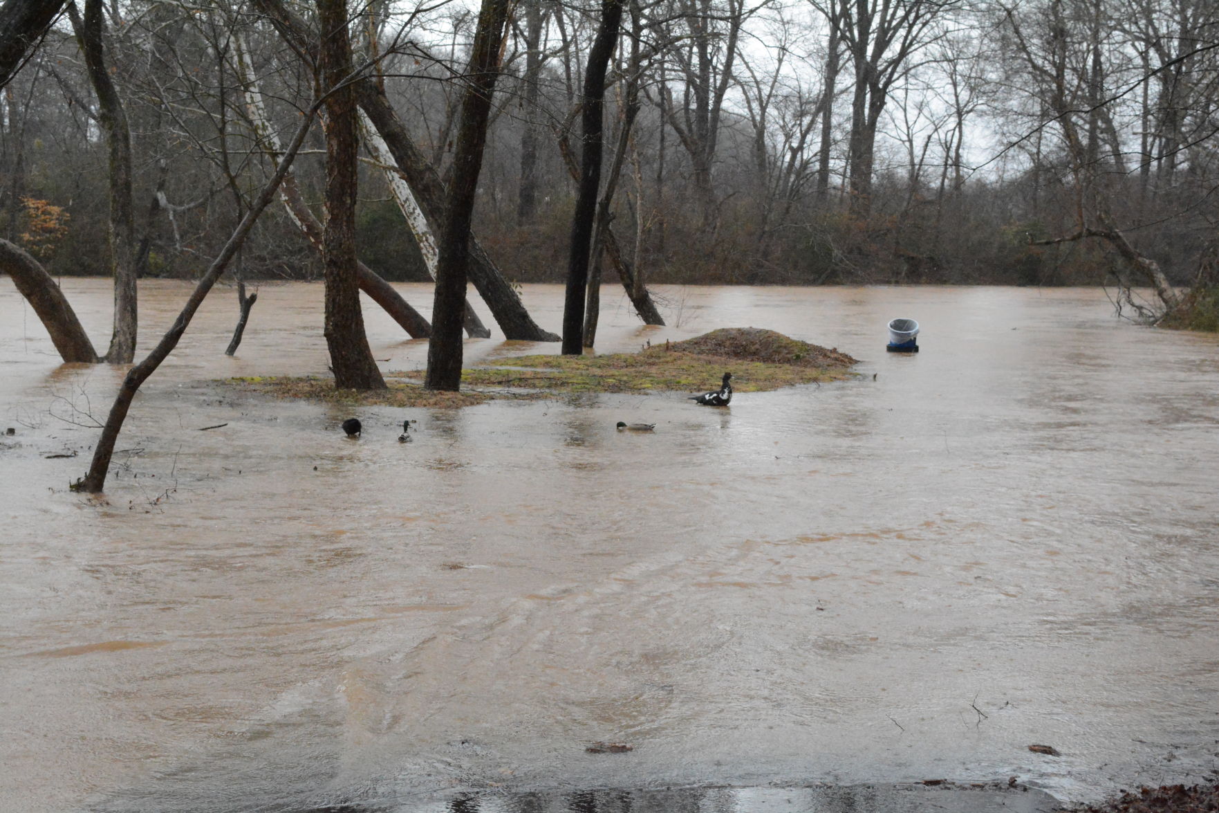 0206 CM flash flooding (5).JPG